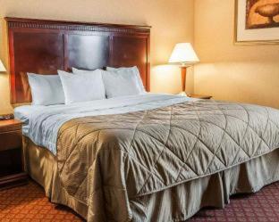Room #5942716 at Clarion Inn and Suites Airport