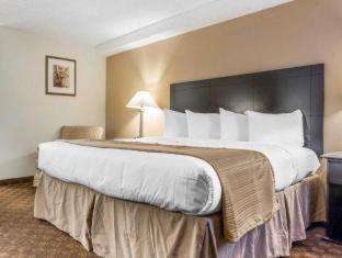 Room #49073904 at Quality Inn & Suites Coliseum