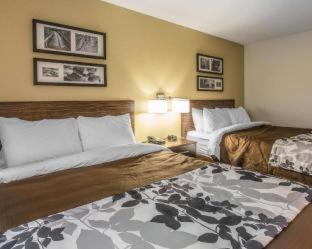 Room #144694405 at Sleep Inn & Suites Jasper I-22