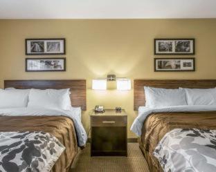 Room #144694405 at Sleep Inn & Suites Jasper I-22