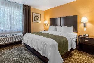 Room #33335814 at Quality Inn & Suites Albuquerque North near Balloon Fiesta Park