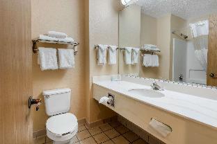 Room #33335818 at Quality Inn & Suites Albuquerque North near Balloon Fiesta Park