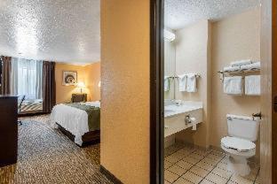 Room #33335819 at Quality Inn & Suites Albuquerque North near Balloon Fiesta Park