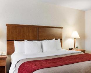 Room #49164003 at Quality Inn Pierre - Fort Pierre