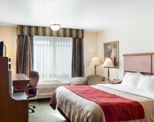 Room #49164003 at Quality Inn Pierre - Fort Pierre