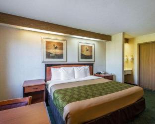 Room #48928807 at Econo Lodge North Academy