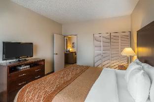 Room #18859115 at Comfort Inn & Suites Seattle North