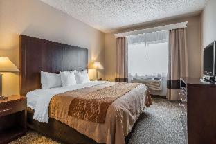 Room #18859115 at Comfort Inn & Suites Seattle North