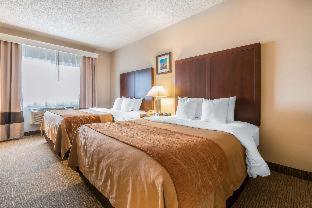 Room #18859116 at Comfort Inn & Suites Seattle North