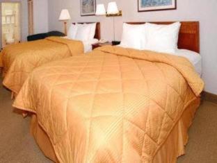 Room #18859116 at Comfort Inn & Suites Seattle North