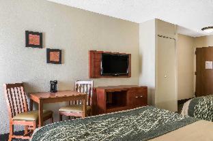Room #49125006 at Comfort Inn Pine Grove