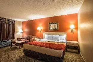 Room #49171908 at Greeneville Inn and Suites