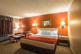 Room #49171908 at Greeneville Inn and Suites