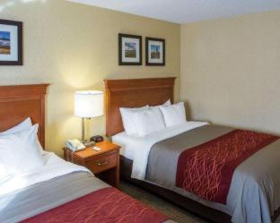 Room #48934006 at Quality Inn Pueblo North