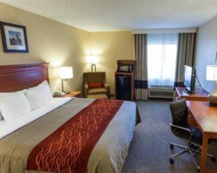 Room #48934007 at Quality Inn Pueblo North