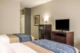 Room #49105117 at Comfort Inn Sandusky
