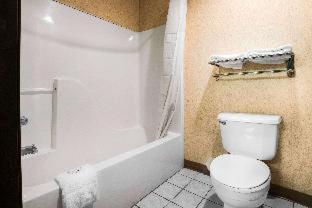 Room #34042311 at Quality Inn Monee I-57