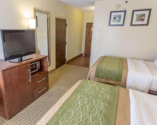 Room #49401109 at Comfort Inn Hammond