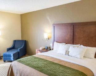 Room #49401109 at Comfort Inn Hammond