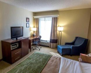 Room #49401109 at Comfort Inn Hammond