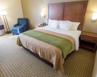 Room #49401113 at Comfort Inn Hammond