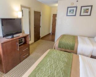Room #49401113 at Comfort Inn Hammond