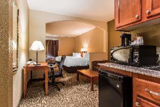 Room #49016006 at Quality Suites New Iberia