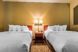 Room #49016006 at Quality Suites New Iberia