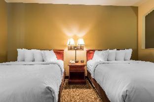Room #49016006 at Quality Suites New Iberia