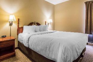 Room #49016007 at Quality Suites New Iberia