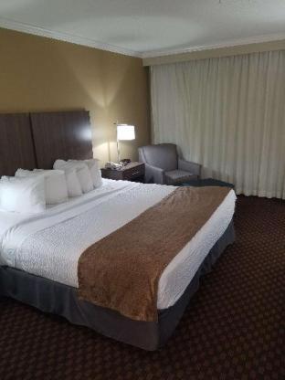 Room #25638120 at Best Western Ocean City Hotel & Suites