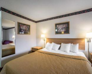 Room #48984309 at Quality Inn & Suites Caseyville - St. Louis
