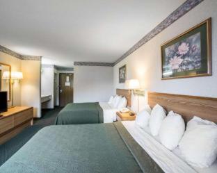 Room #48984310 at Quality Inn & Suites Caseyville - St. Louis