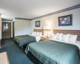 Room #48984310 at Quality Inn & Suites Caseyville - St. Louis