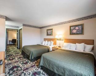 Room #48984311 at Quality Inn & Suites Caseyville - St. Louis