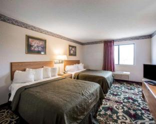 Room #48984311 at Quality Inn & Suites Caseyville - St. Louis