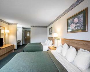Room #48984312 at Quality Inn & Suites Caseyville - St. Louis