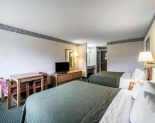 Room #48984312 at Quality Inn & Suites Caseyville - St. Louis