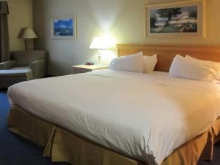 Room #51038416 at Blue Water Inn & Suites, BW Signature Collection