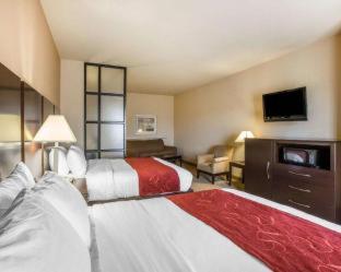 Room #49401606 at Comfort Suites Macon Northwest