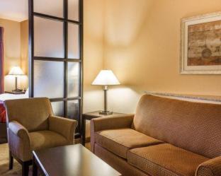 Room #49401607 at Comfort Suites Macon Northwest