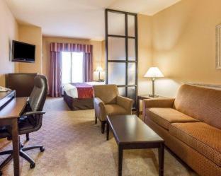 Room #49401608 at Comfort Suites Macon Northwest