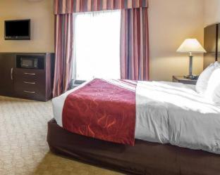 Room #49401608 at Comfort Suites Macon Northwest