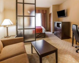 Room #49401608 at Comfort Suites Macon Northwest