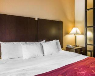 Room #49401608 at Comfort Suites Macon Northwest