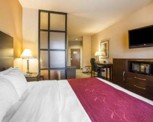 Room #49401608 at Comfort Suites Macon Northwest