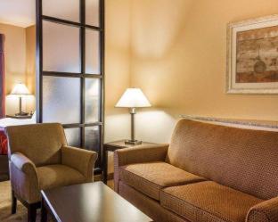 Room #49401608 at Comfort Suites Macon Northwest