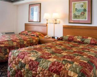 Room #5922408 at Seaview Hotel