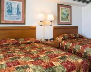 Room #5922408 at Seaview Hotel