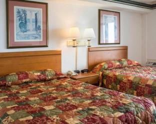 Room #5922408 at Seaview Hotel
